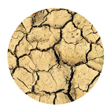 sun icon
